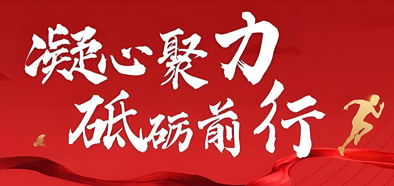 Innovation Leads to the Future: Wenlin Technology's 2025 Journey and Prospects