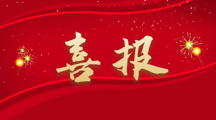 Wuhan Wenlin Technology Successfully Passes Hubei Provincial SRDI SME Re-evaluation